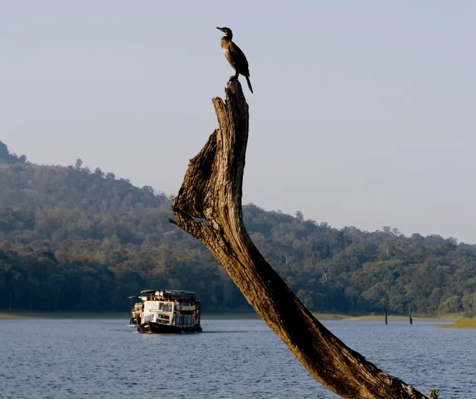 Periyar National Park