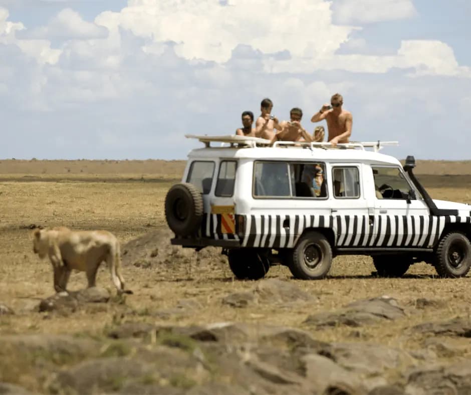 Game Safari 