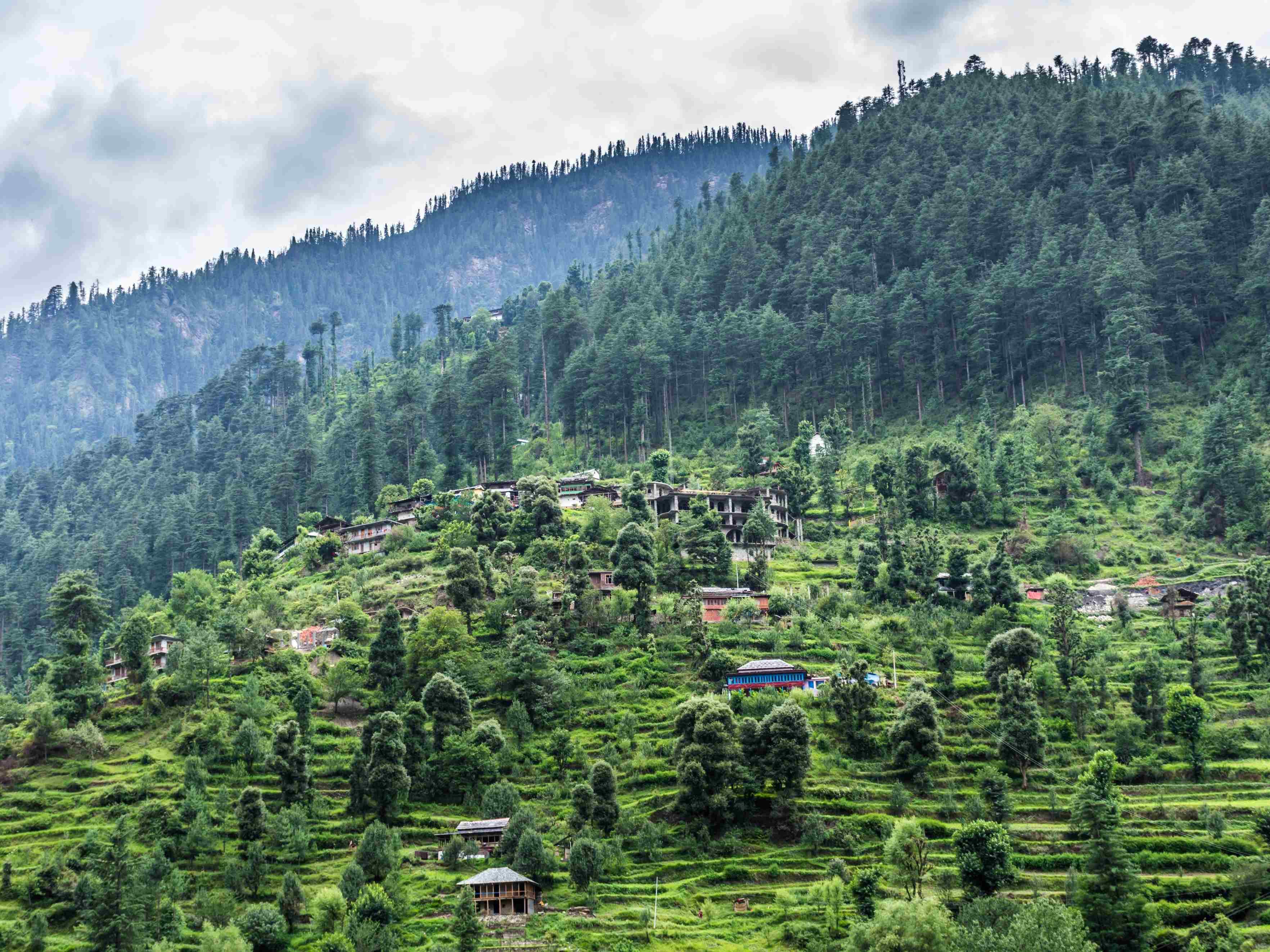 Himachal Pradesh