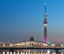 Tokyo Evening Panoramic Tour
