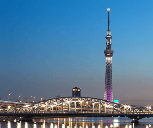 Tokyo Evening Panoramic Tour
