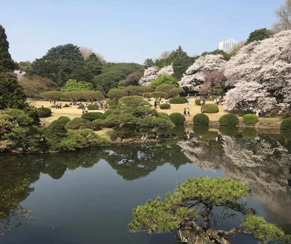 Yoyogi Park