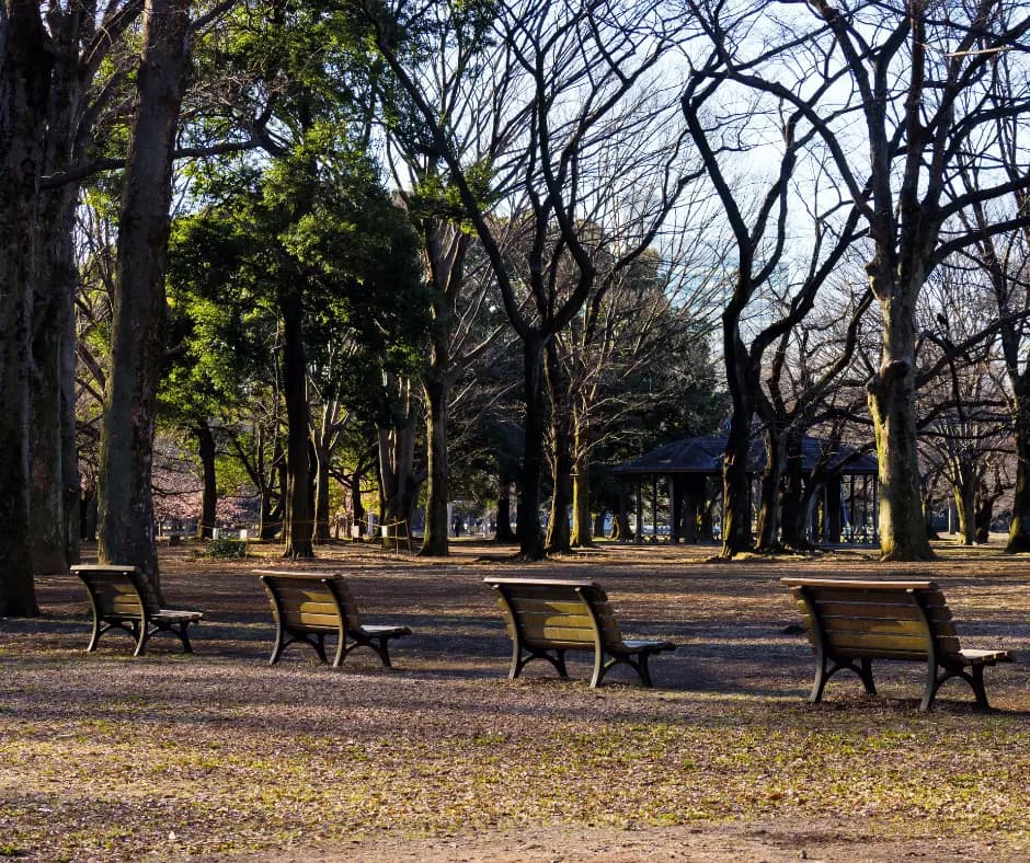 Yoyogi Park
