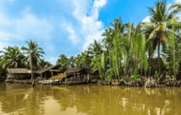 Excursion to Mekong Delta