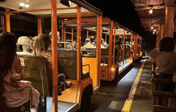 Night Safari Animal Show + Tram Ride