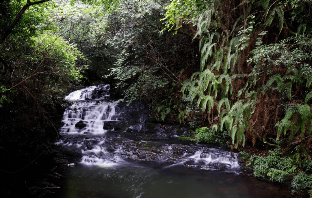 Trip to Elephanta Falls
