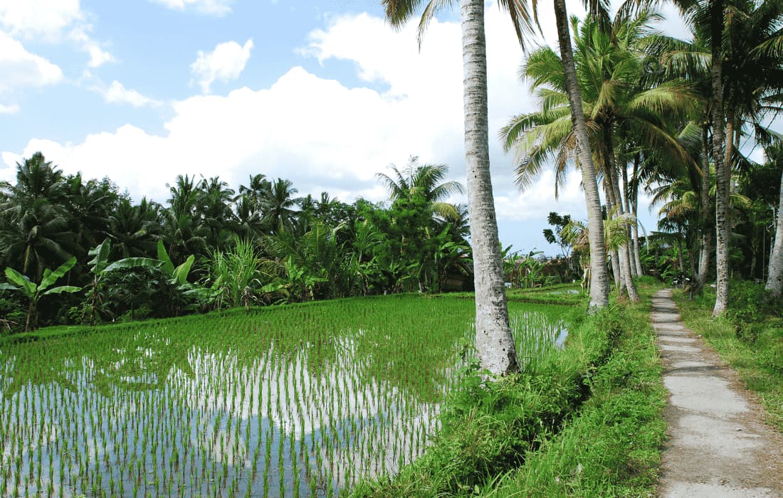 Ubud