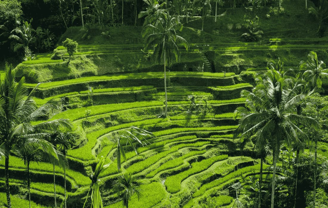Ubud