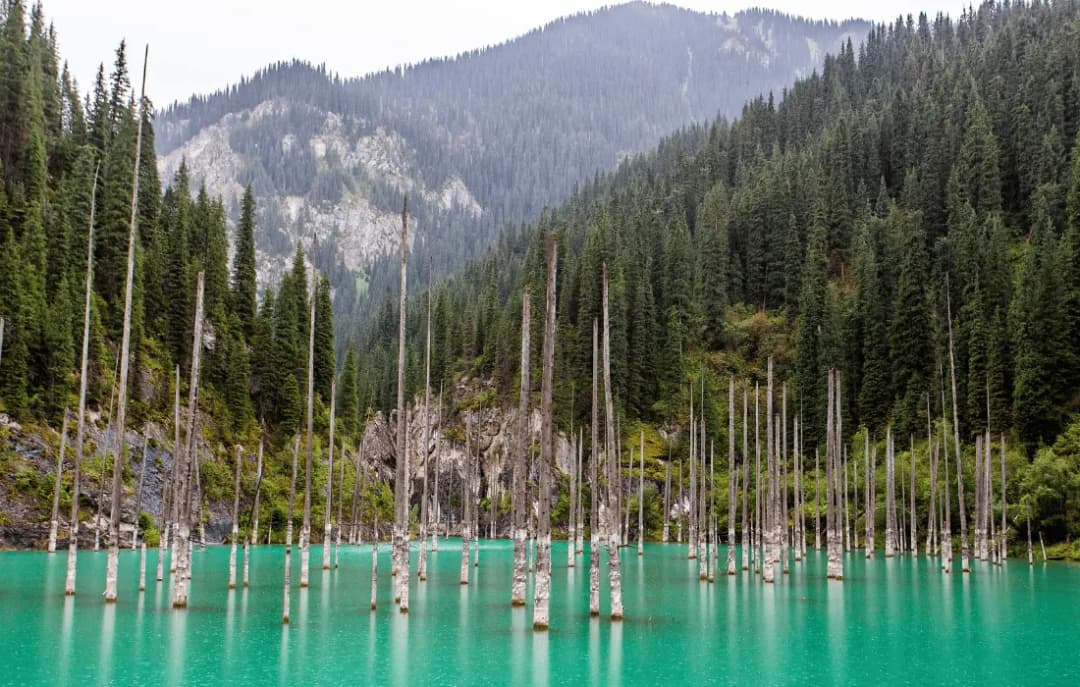 Visit to Kaindy Lake