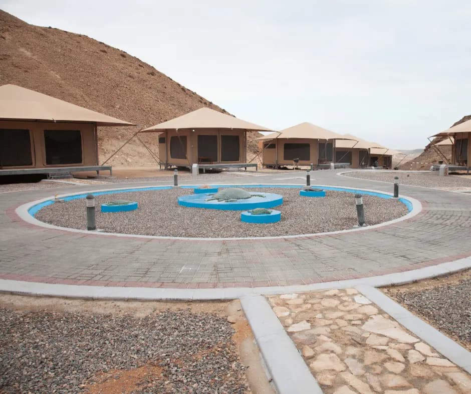 Ras Al Jinz 