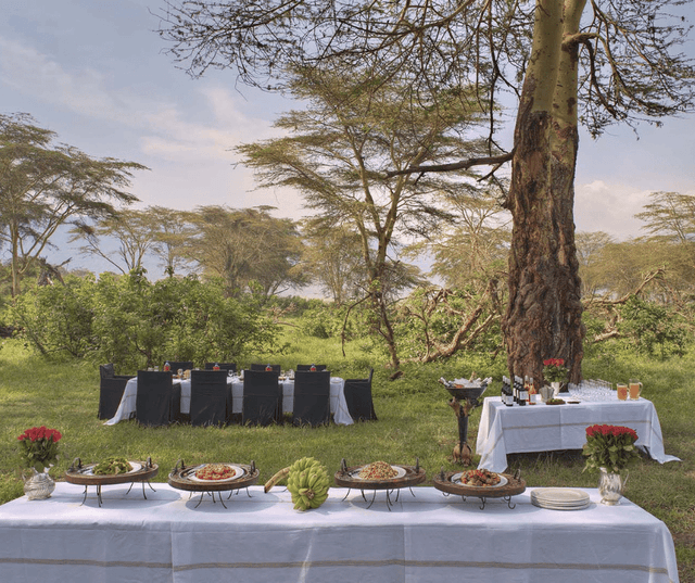 Full Day Exploration of Ngorongoro Crater & Surroundings