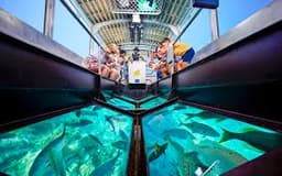 Discover the Wonders of the Great Barrier Reef