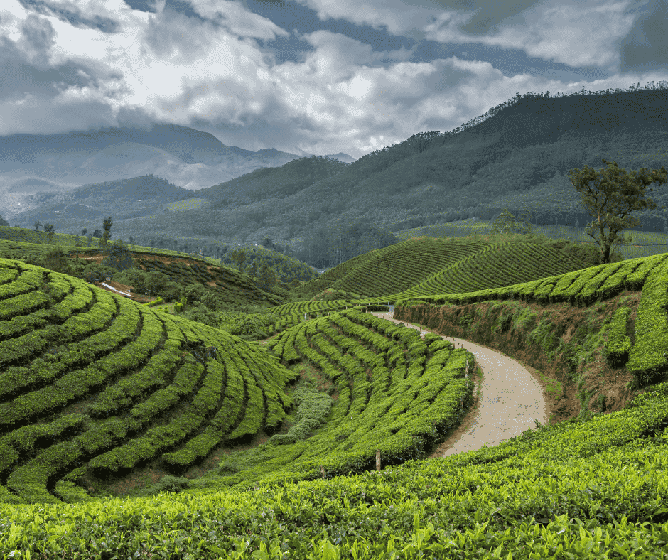 Kerala