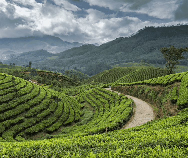 Kerala