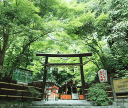 Tokyo City Tour 