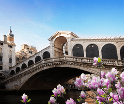 Venice City Tour
