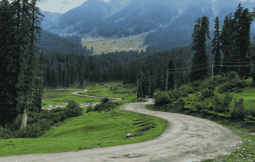 A road in kashmir valley